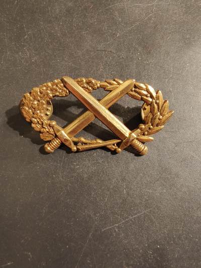 老王徽章第176期 - 法国金级军事技能章