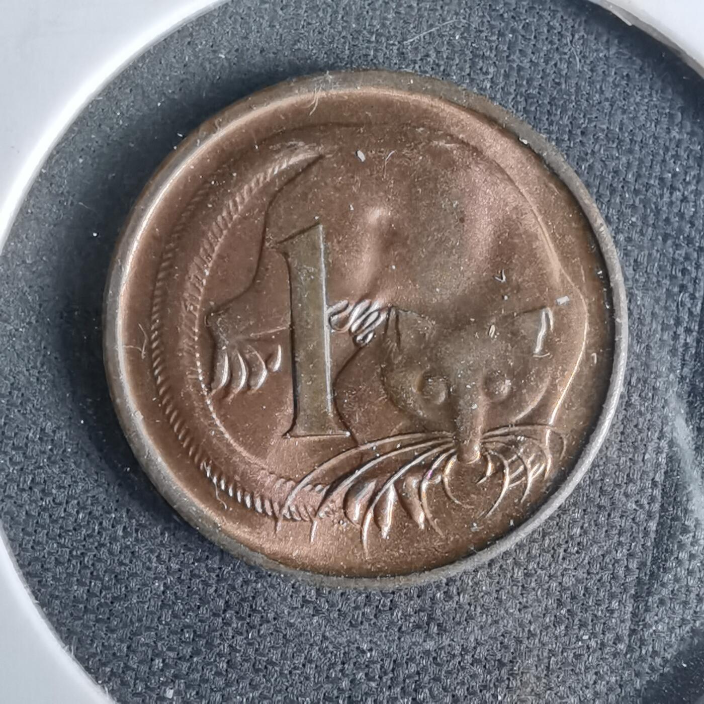 沼泽如烟--第958场