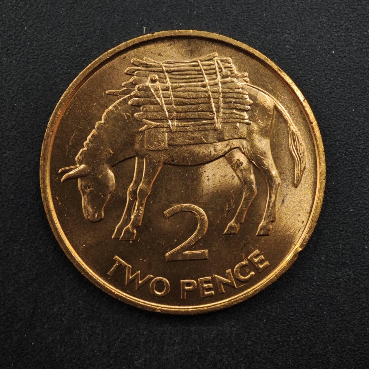 【淘币小摊】实时拍第八百四十六拍   散币场   满百包邮可预留二周 每周一统一发货   圣赫勒拿1984年2便士毛驴铜币