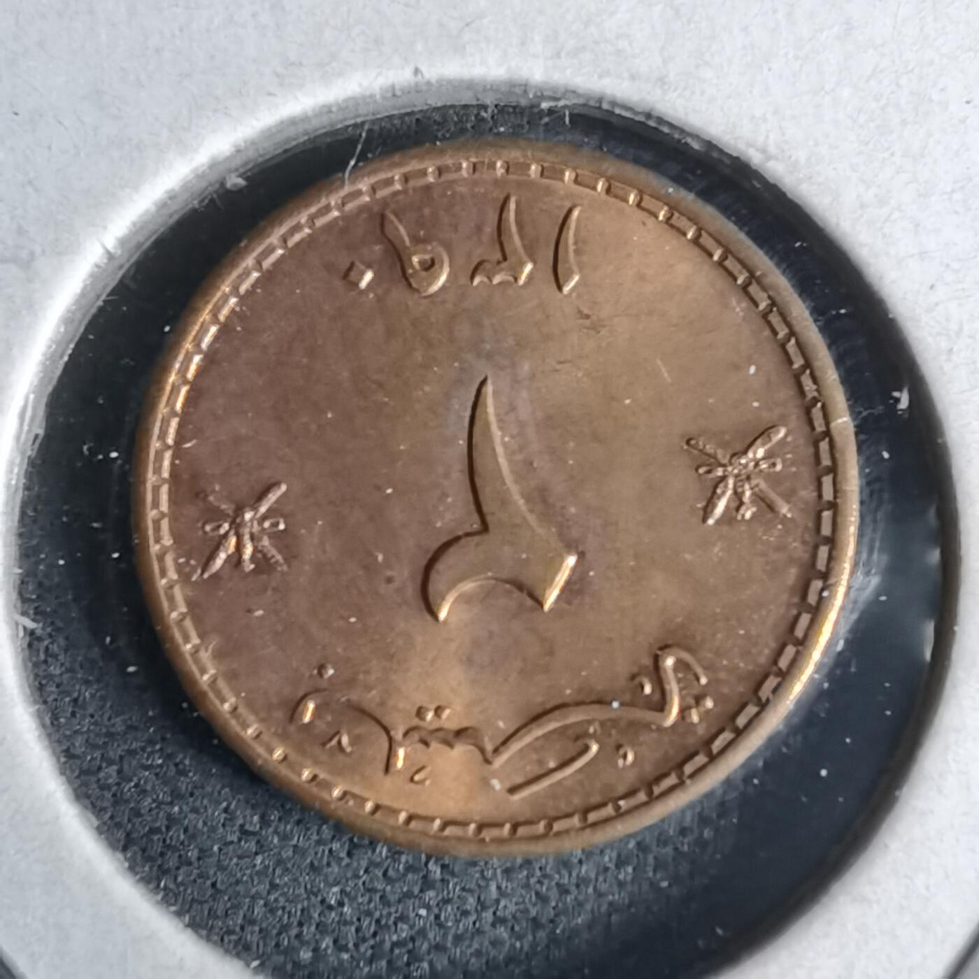 沼泽如烟--第958场