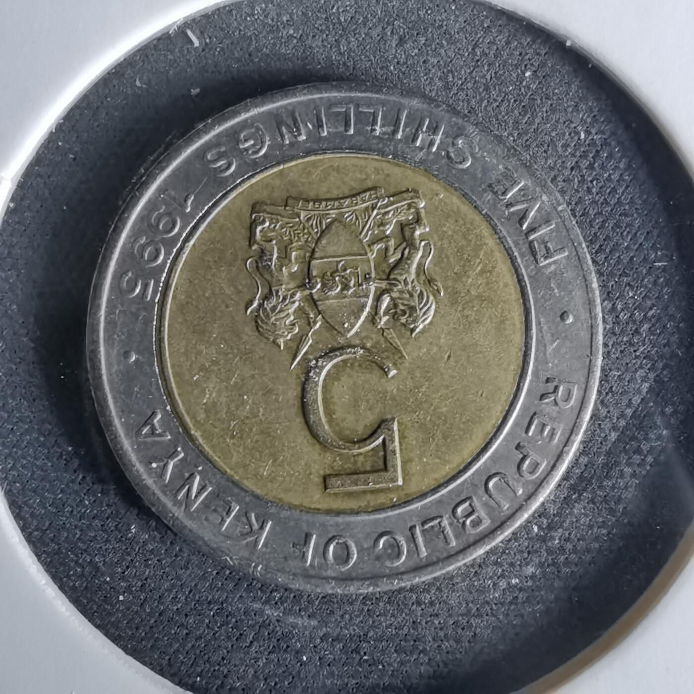 沼泽如烟--第958场