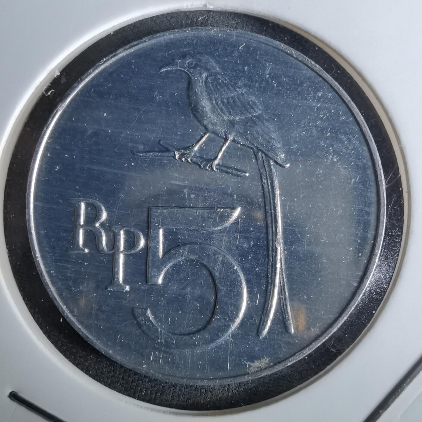 沼泽如烟--第958场