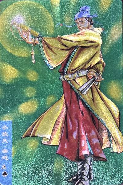 小浣熊水浒卡–硬面柴进–不同光线–不同效果–高清拍摄–纹理清晰 - 小浣熊水浒卡–硬面柴进–不同光线–不同效果–高清拍摄–纹理清晰