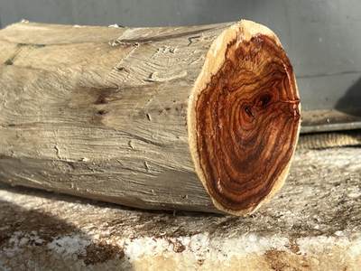 零元拍：  NO.168-1海南黄花梨原料。尺寸约110/60/60MM - 零元拍：  NO.168-1海南黄花梨原料。尺寸约110/60/60MM