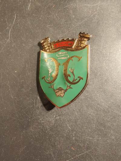 老王徽章第176期 - 法国库尔蒂讷军营证章