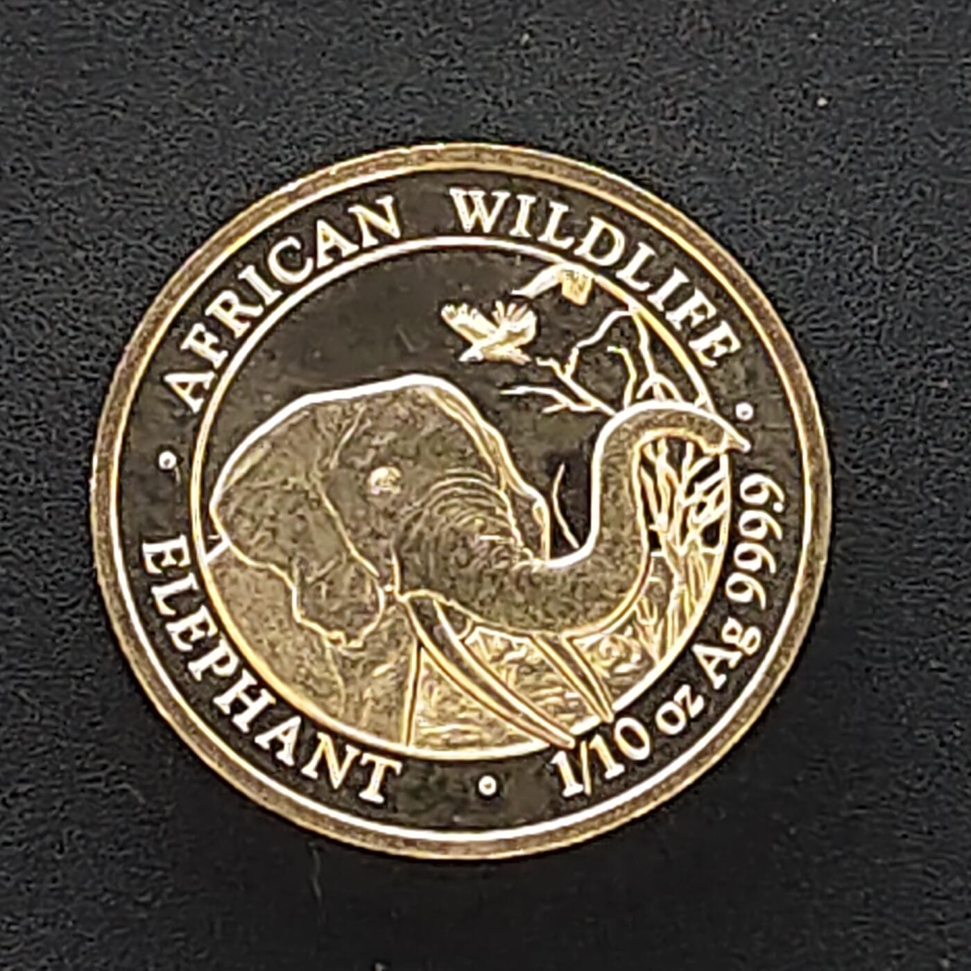 【全场包邮】纯粹捡漏拍494场 索马里2018年10先令大象1/10盎司9999纯银【16毫米3.11克，纯银价约62元（按20元银价折算）】