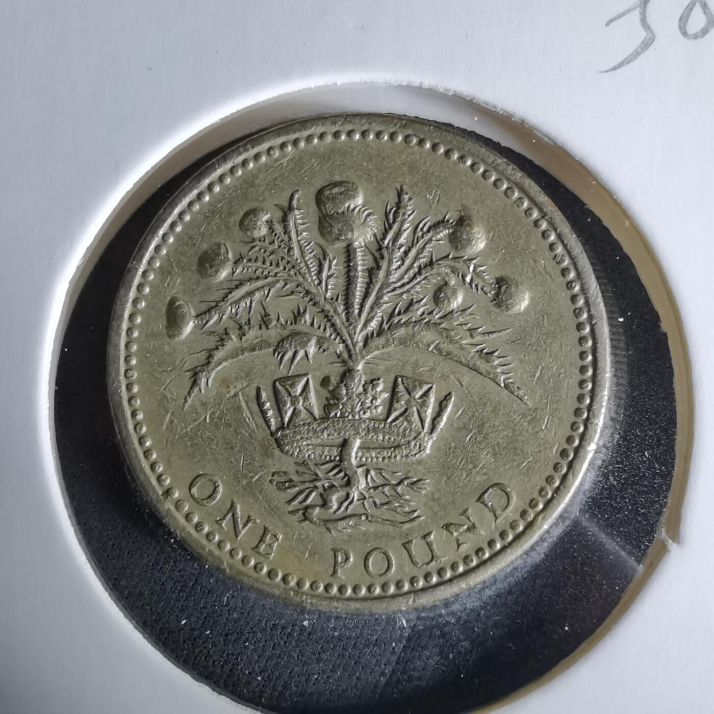 沼泽如烟--第958场