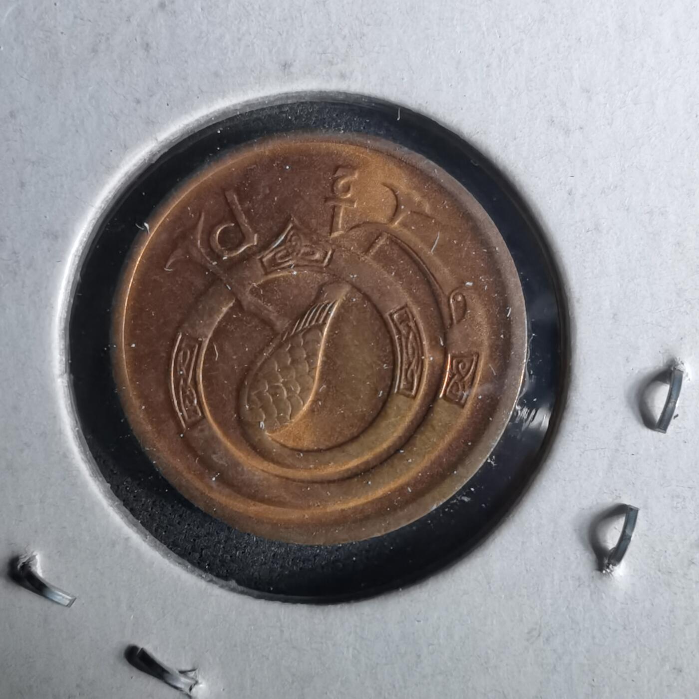 沼泽如烟--第958场