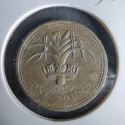 沼泽如烟--第958场 - 英国1985年1磅