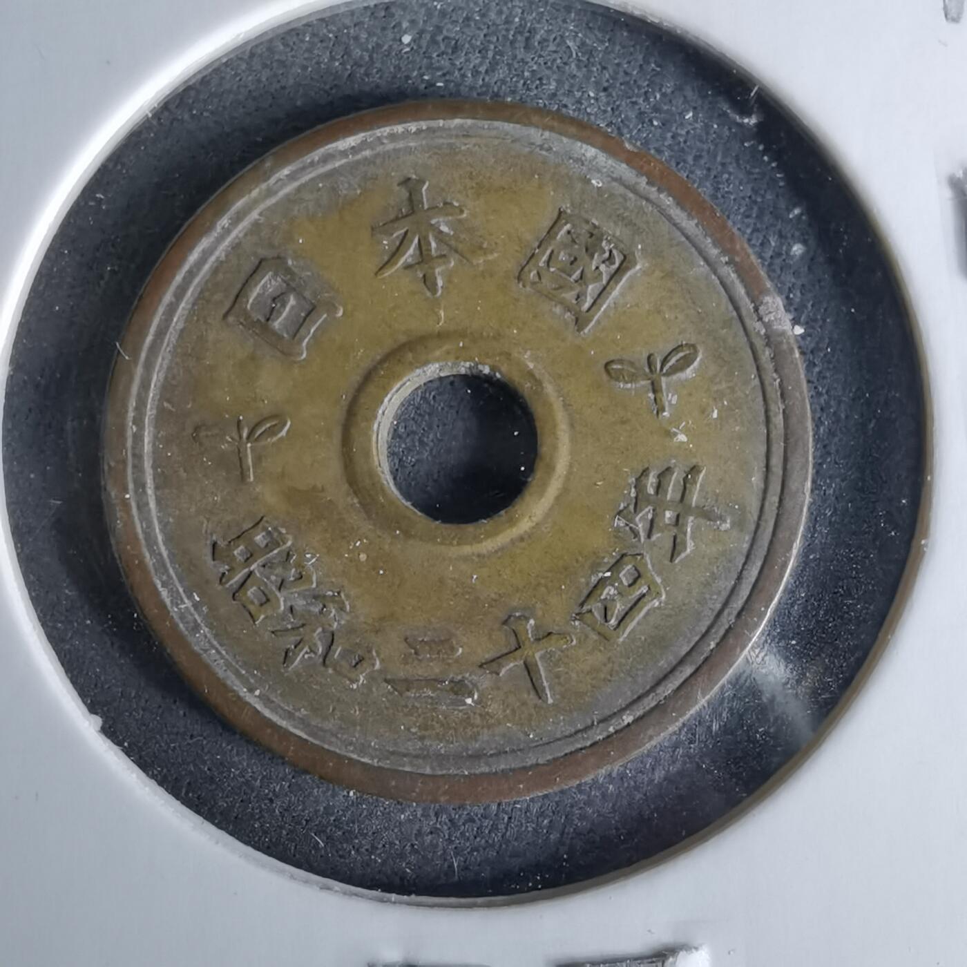 沼泽如烟--第958场