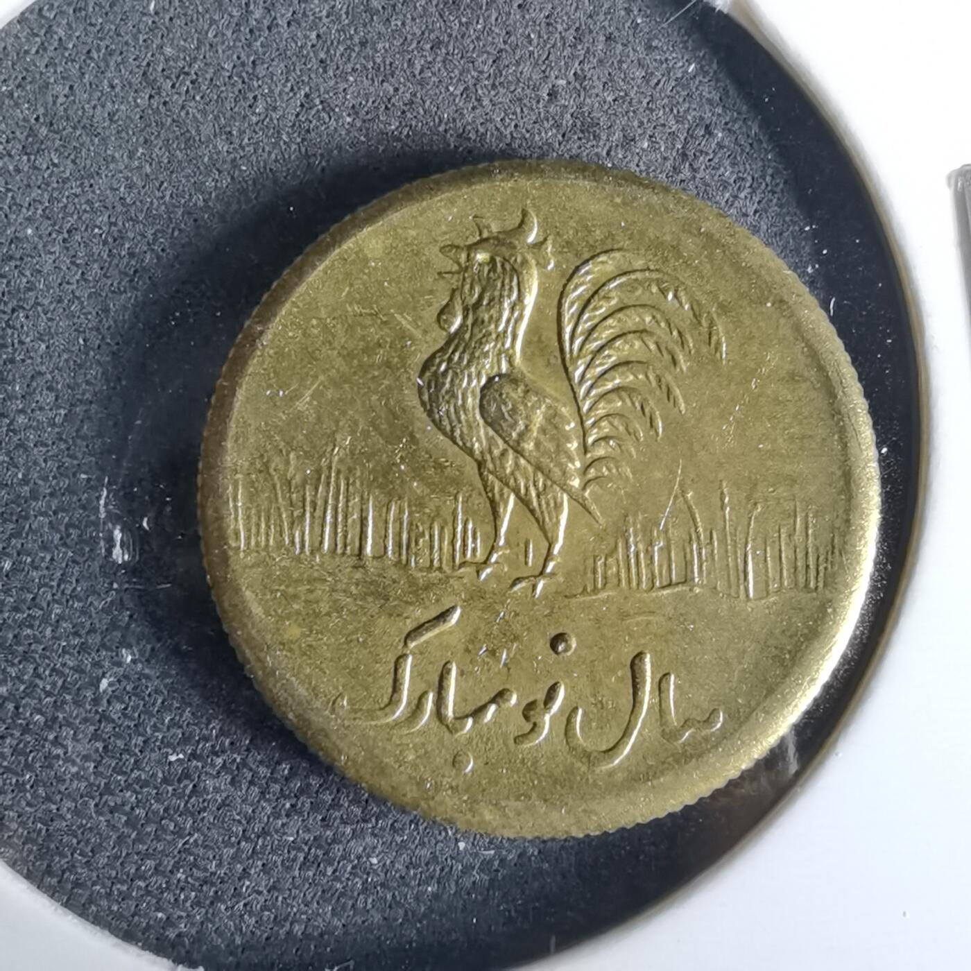 沼泽如烟--第958场