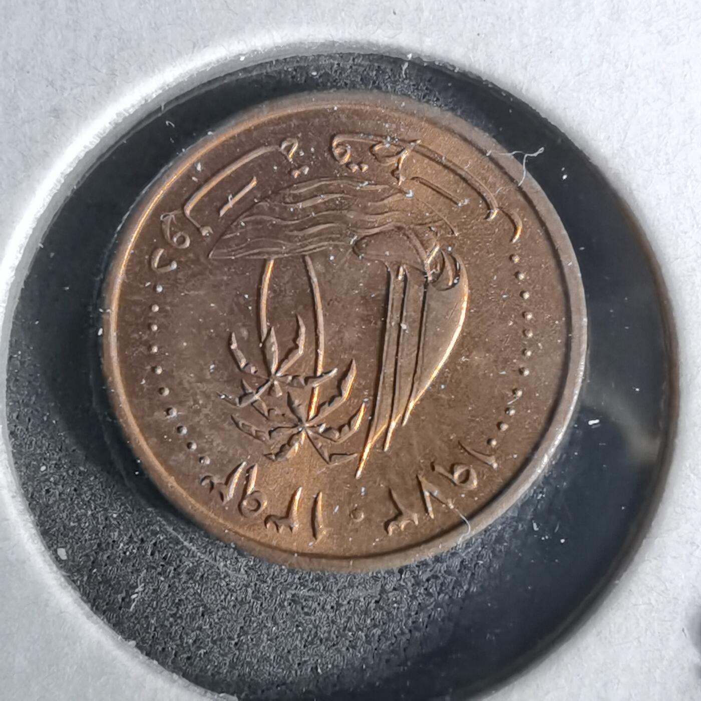 沼泽如烟--第958场 卡塔尔