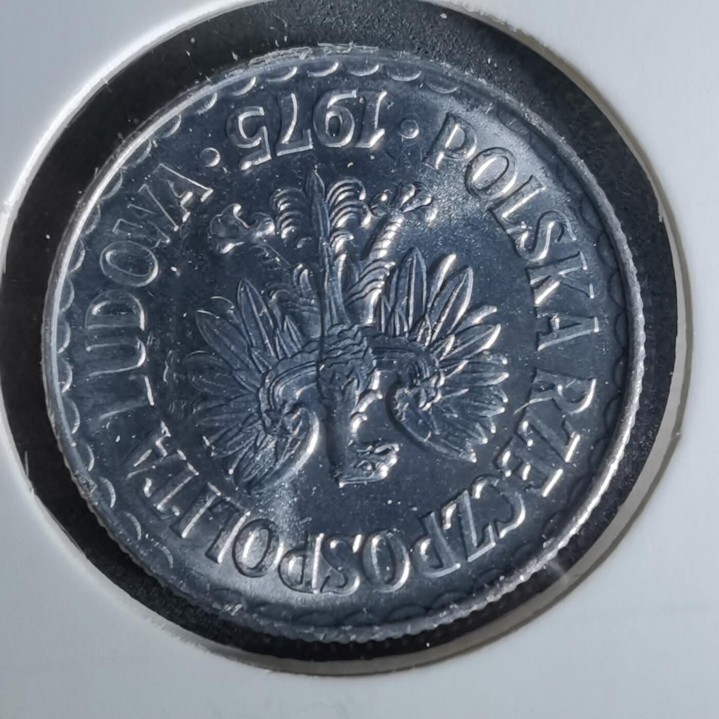 沼泽如烟--第958场