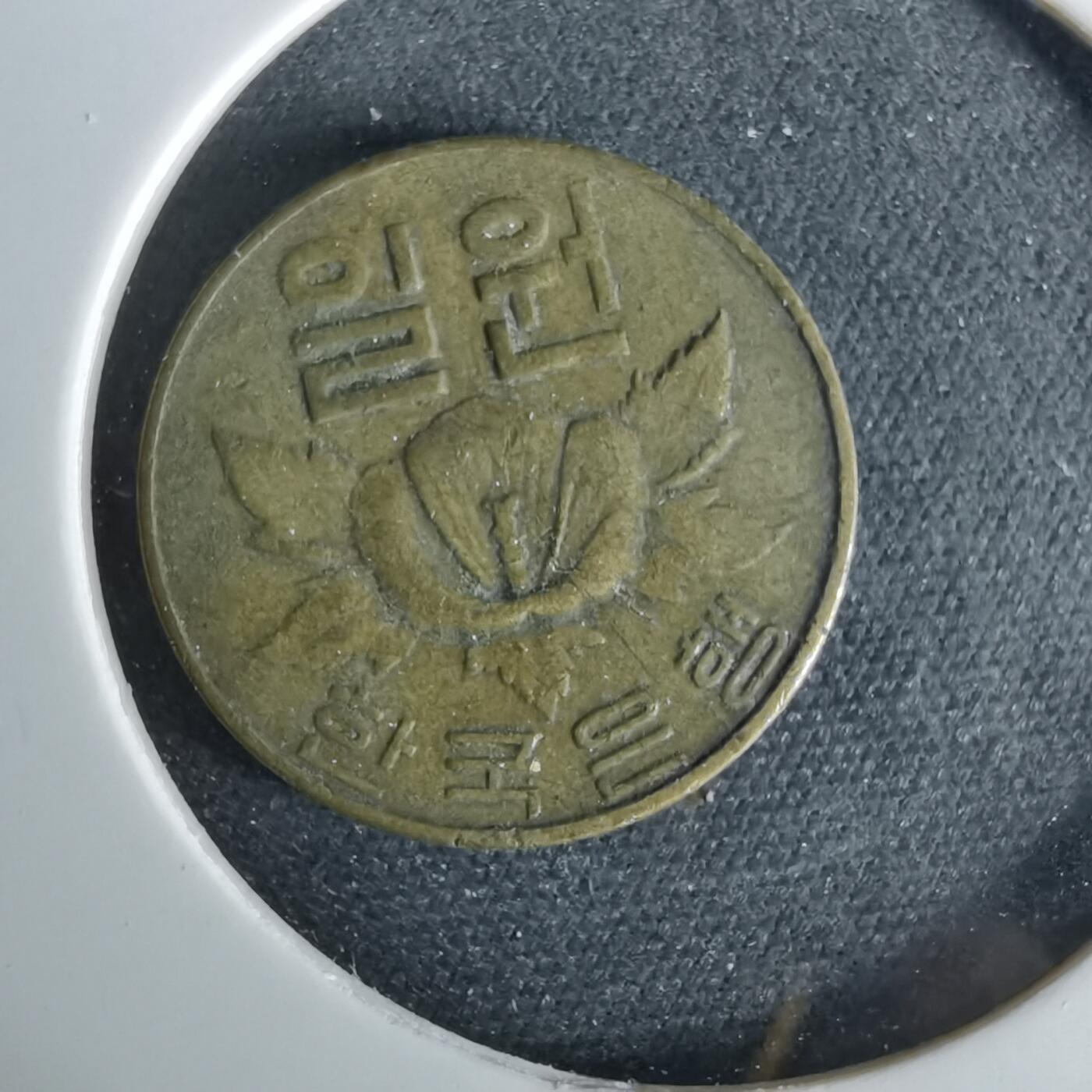 沼泽如烟--第958场