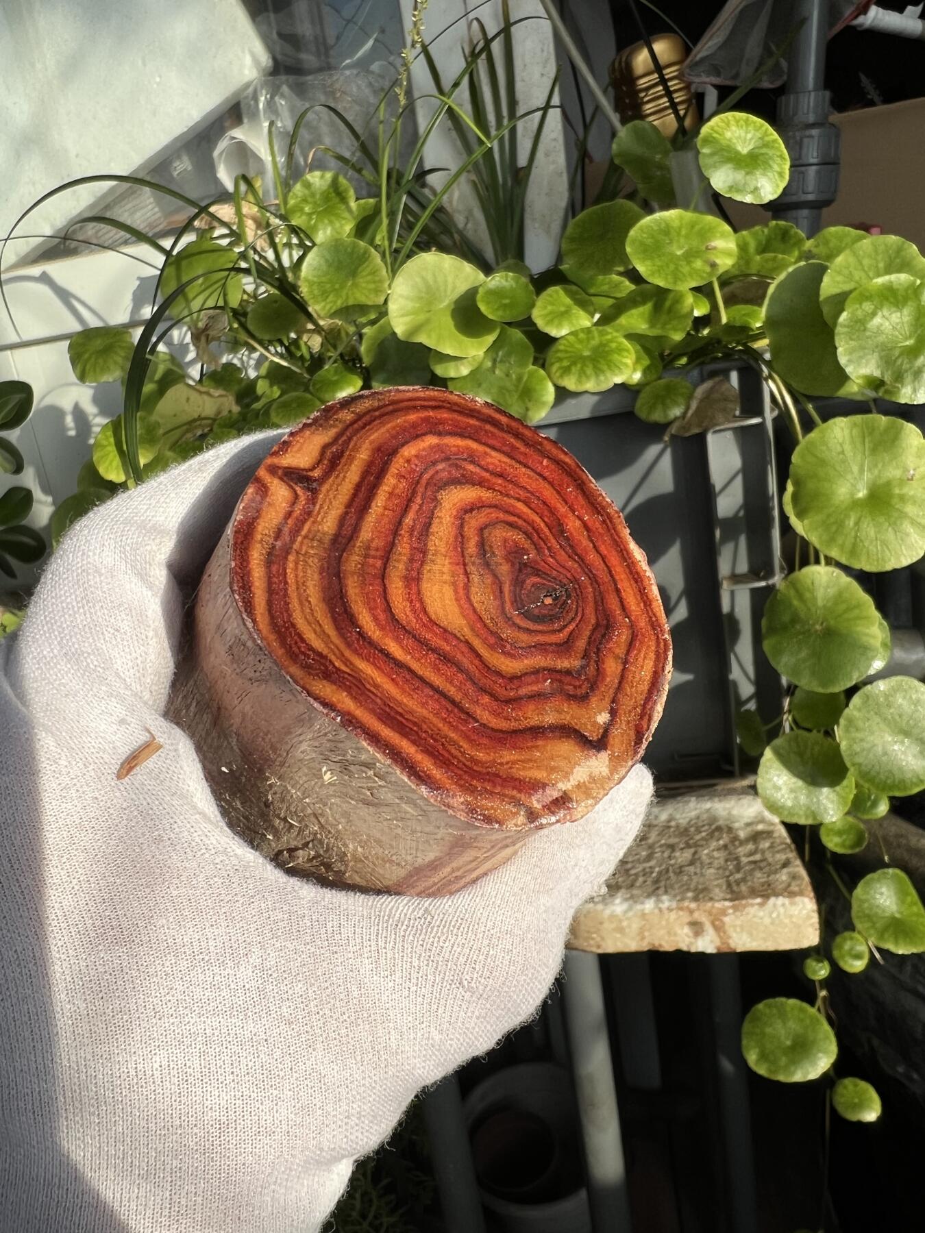 零元拍：  NO.40-1海南黄花梨原料。鬼眼很多哦，尺寸约125/80/60MM