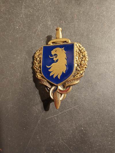 老王徽章第176期 - 法国军事预备役证章