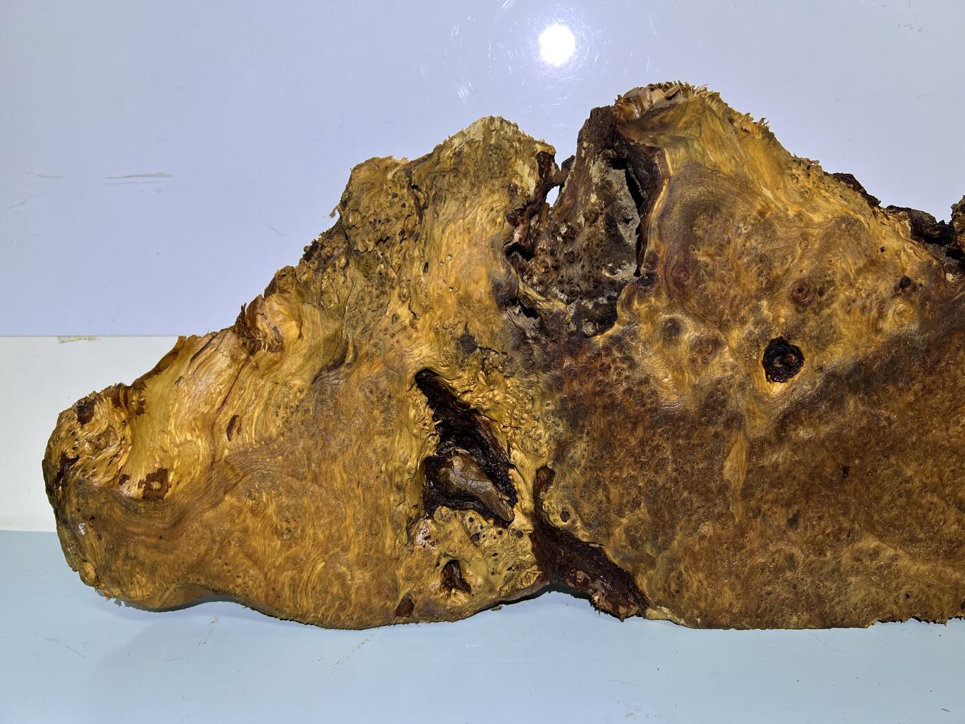 零元拍：NO78香杉木老根榴茶盘，尺寸约：750/180/250/35厚MM，满花满瘤，药香满鼻，无漆无蜡