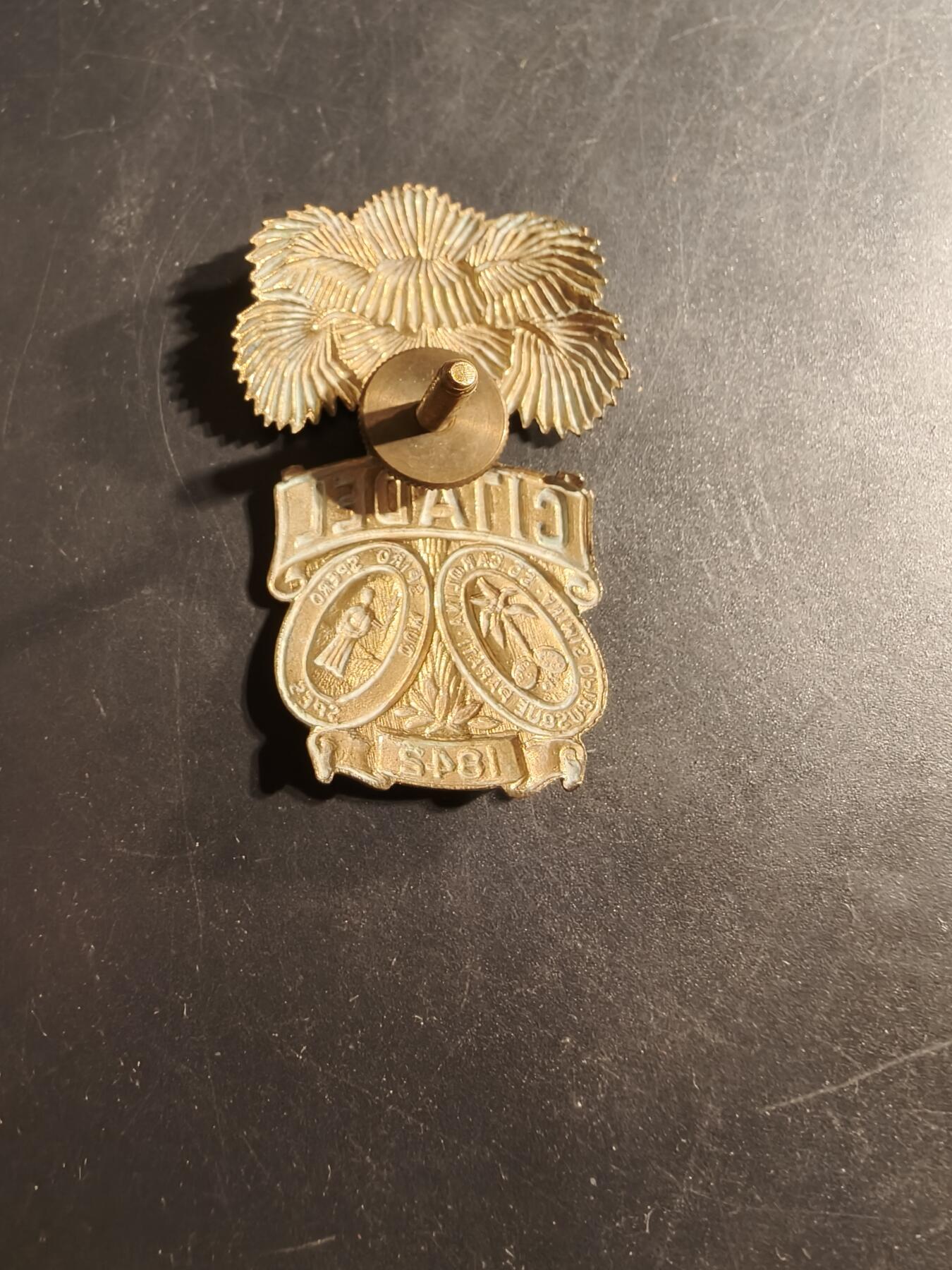 老王徽章第176期