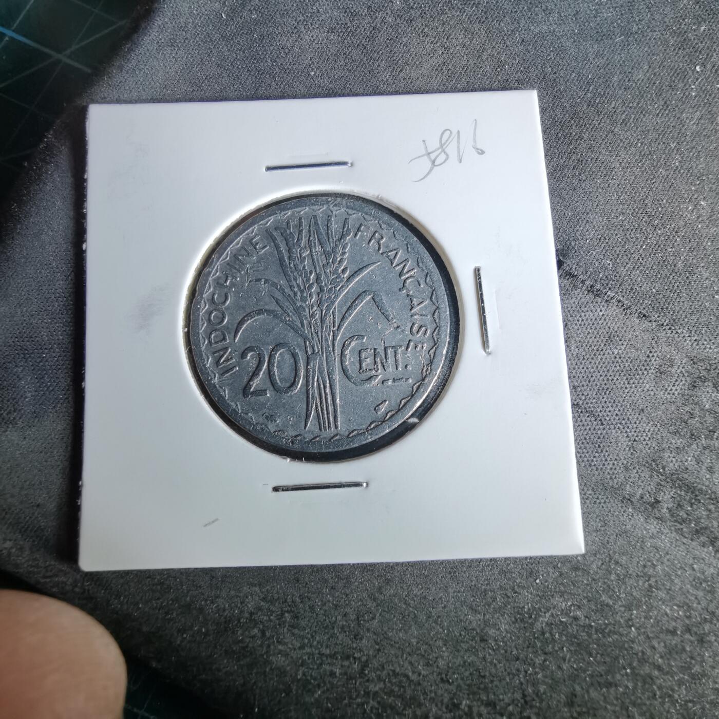 沼泽如烟--第958场