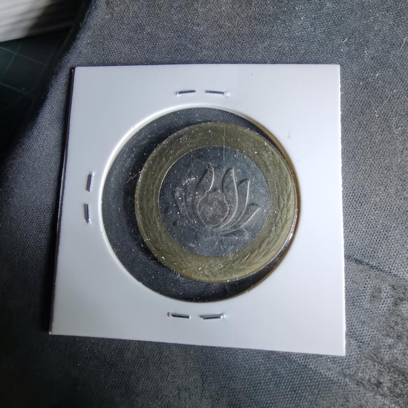 沼泽如烟--第958场