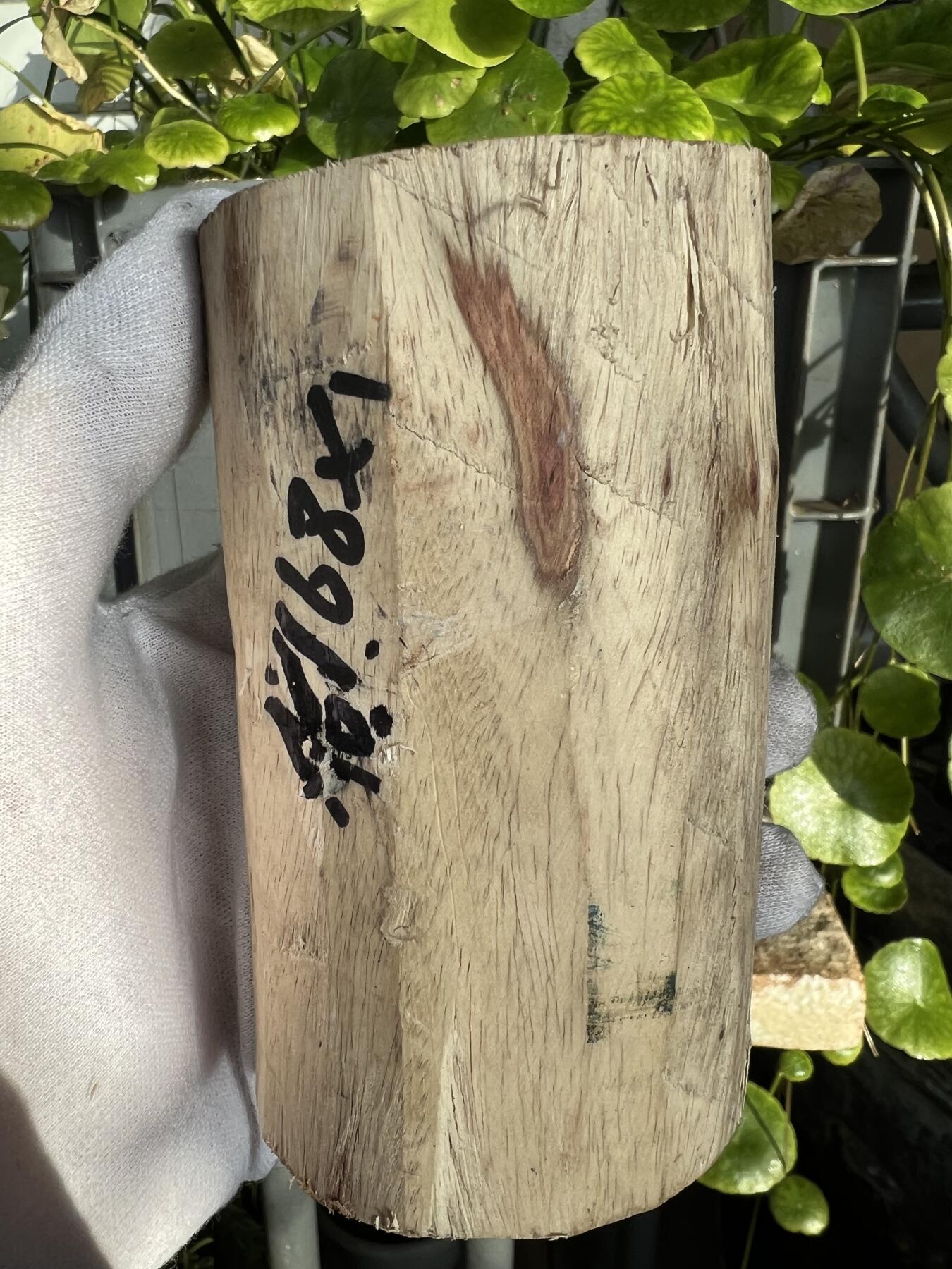 零元拍：  NO.168-1海南黄花梨原料。尺寸约110/60/60MM