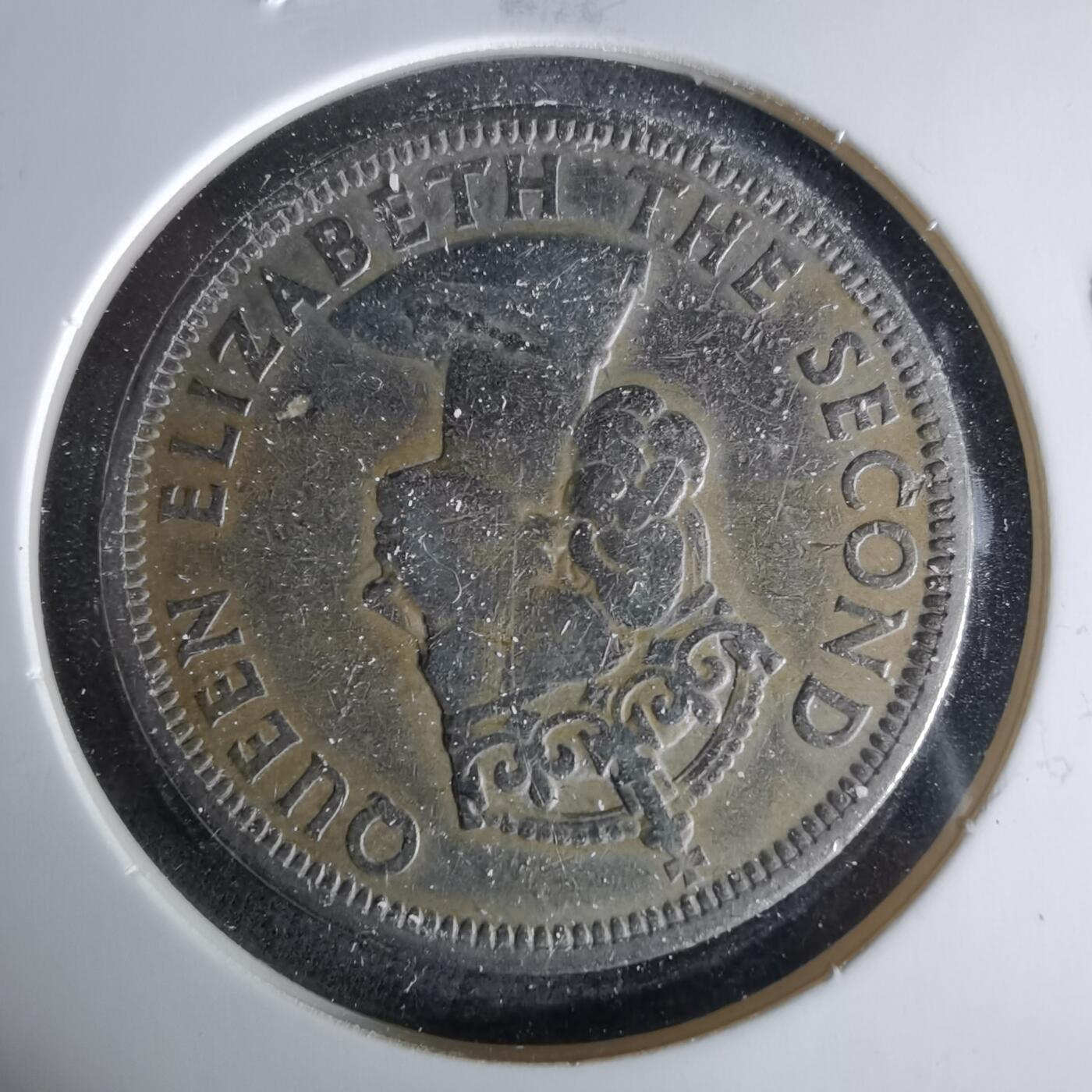 沼泽如烟--第958场