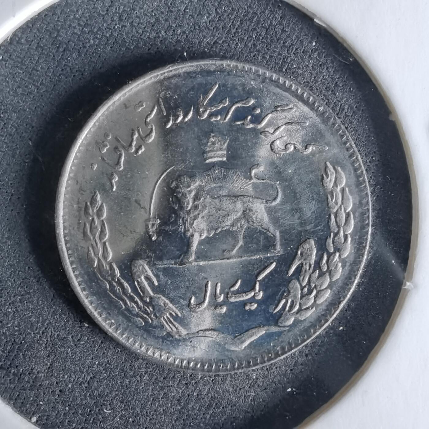 沼泽如烟--第958场