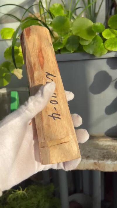 零元拍：  NO.110-4海南黄花梨原料。尺寸约195/45MM