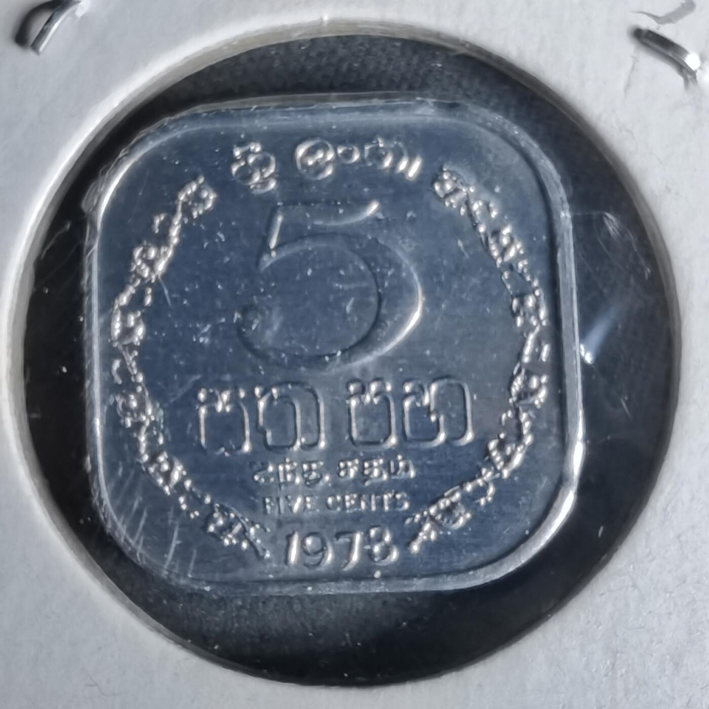 沼泽如烟--第958场