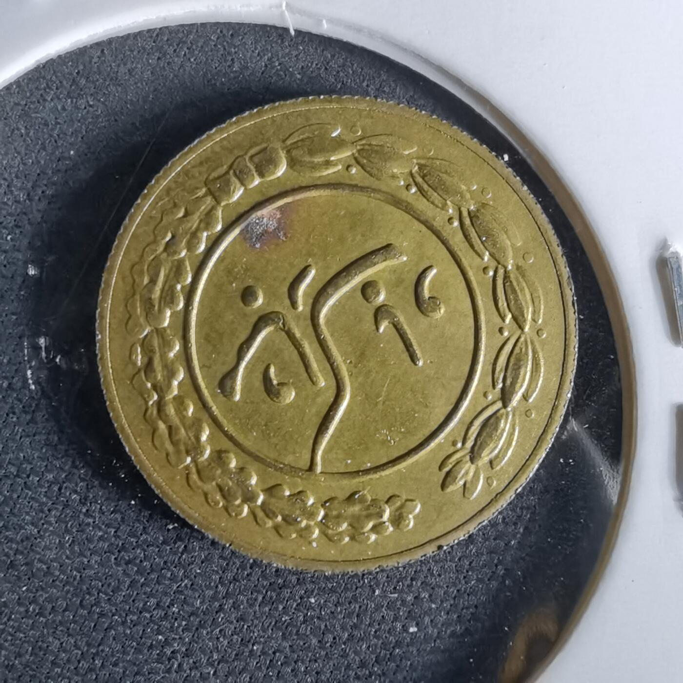 沼泽如烟--第958场