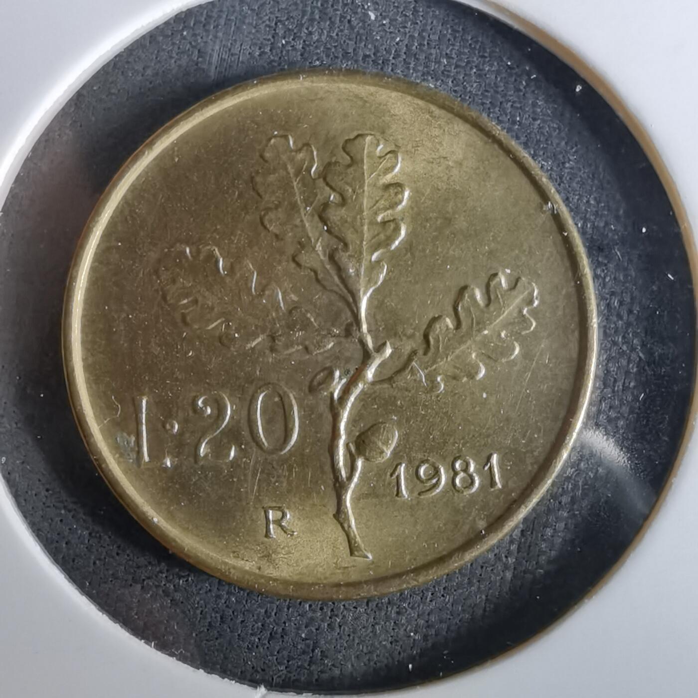 沼泽如烟--第958场