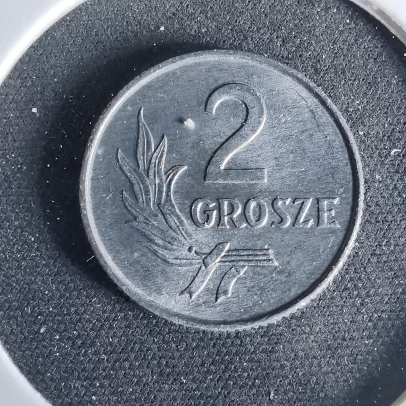 沼泽如烟--第958场