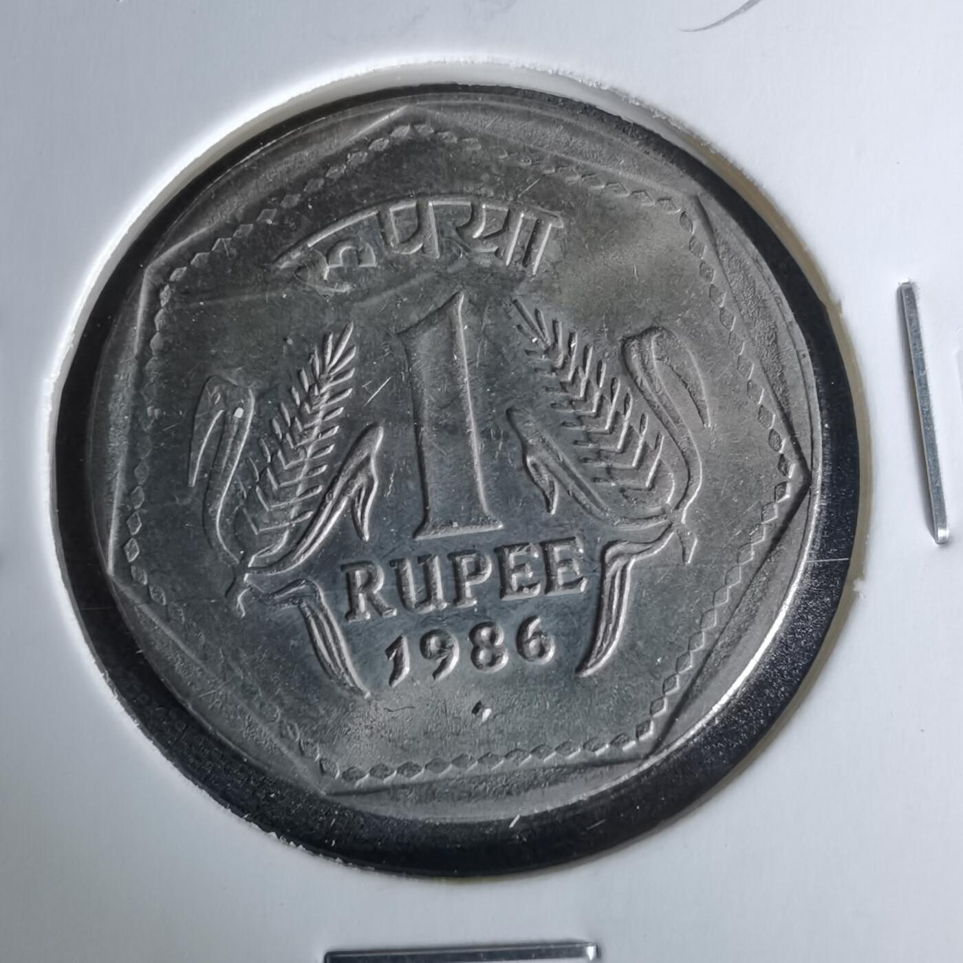 沼泽如烟--第958场