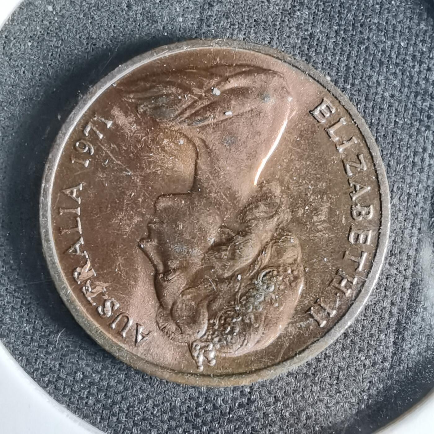 沼泽如烟--第958场