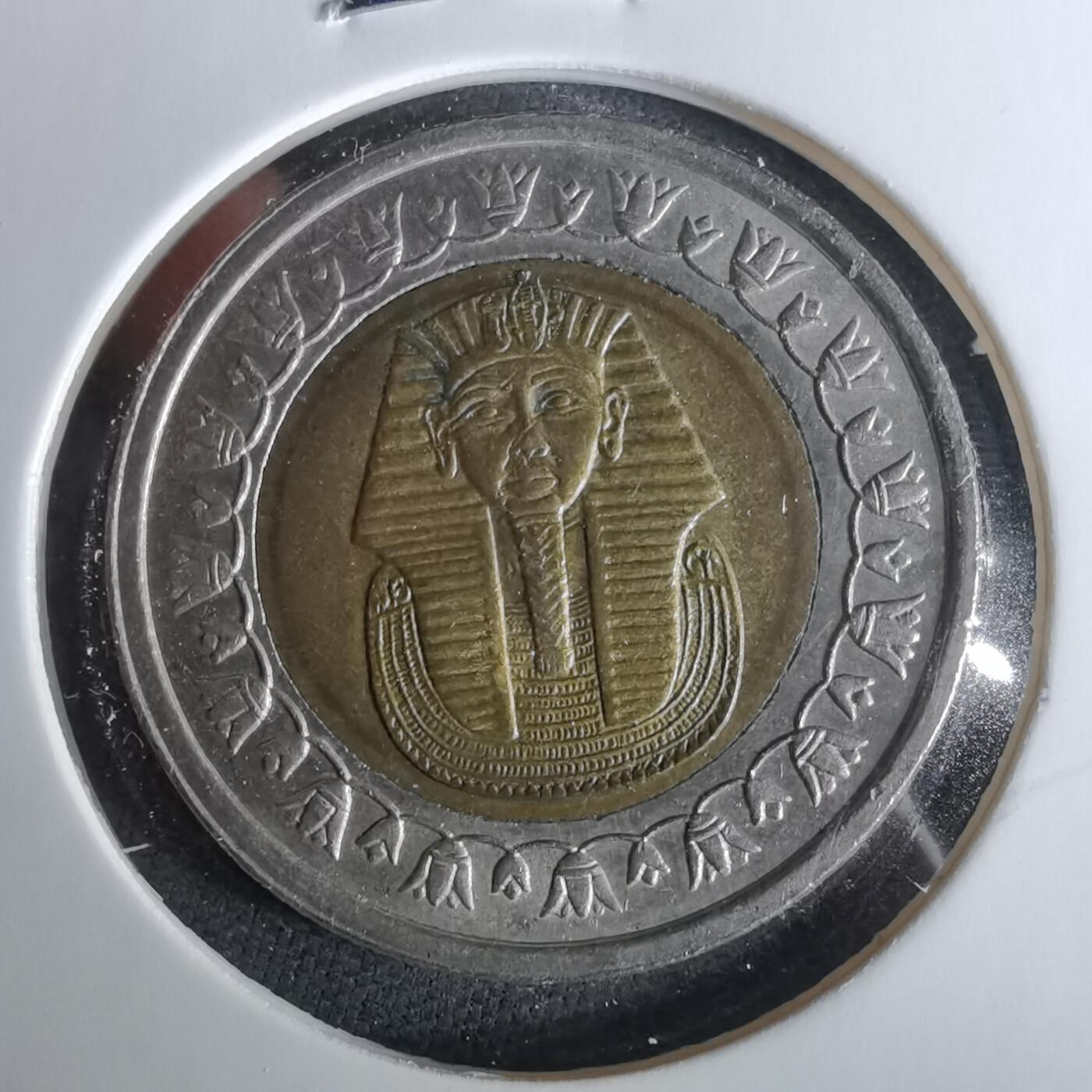 沼泽如烟--第958场 埃及