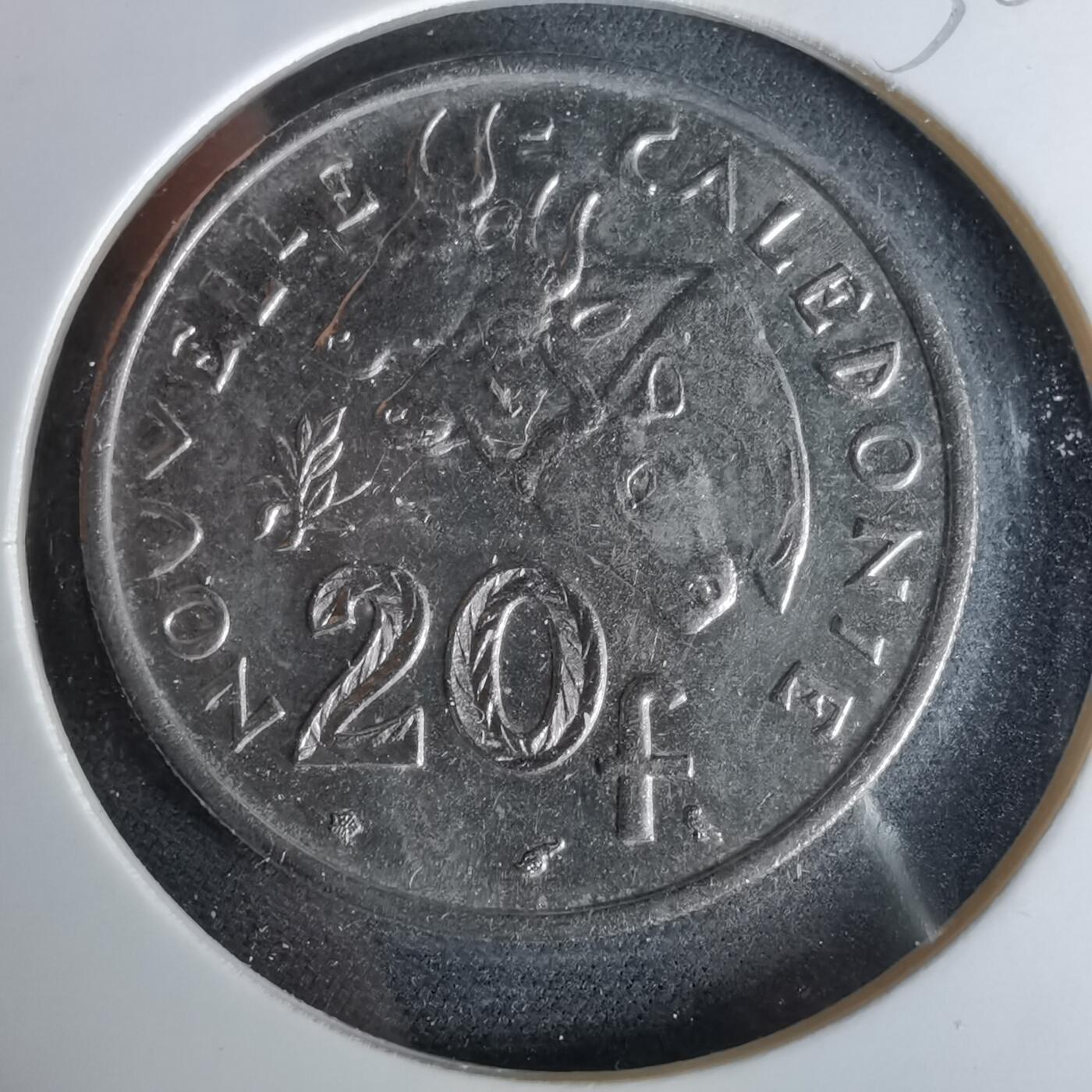 沼泽如烟--第958场