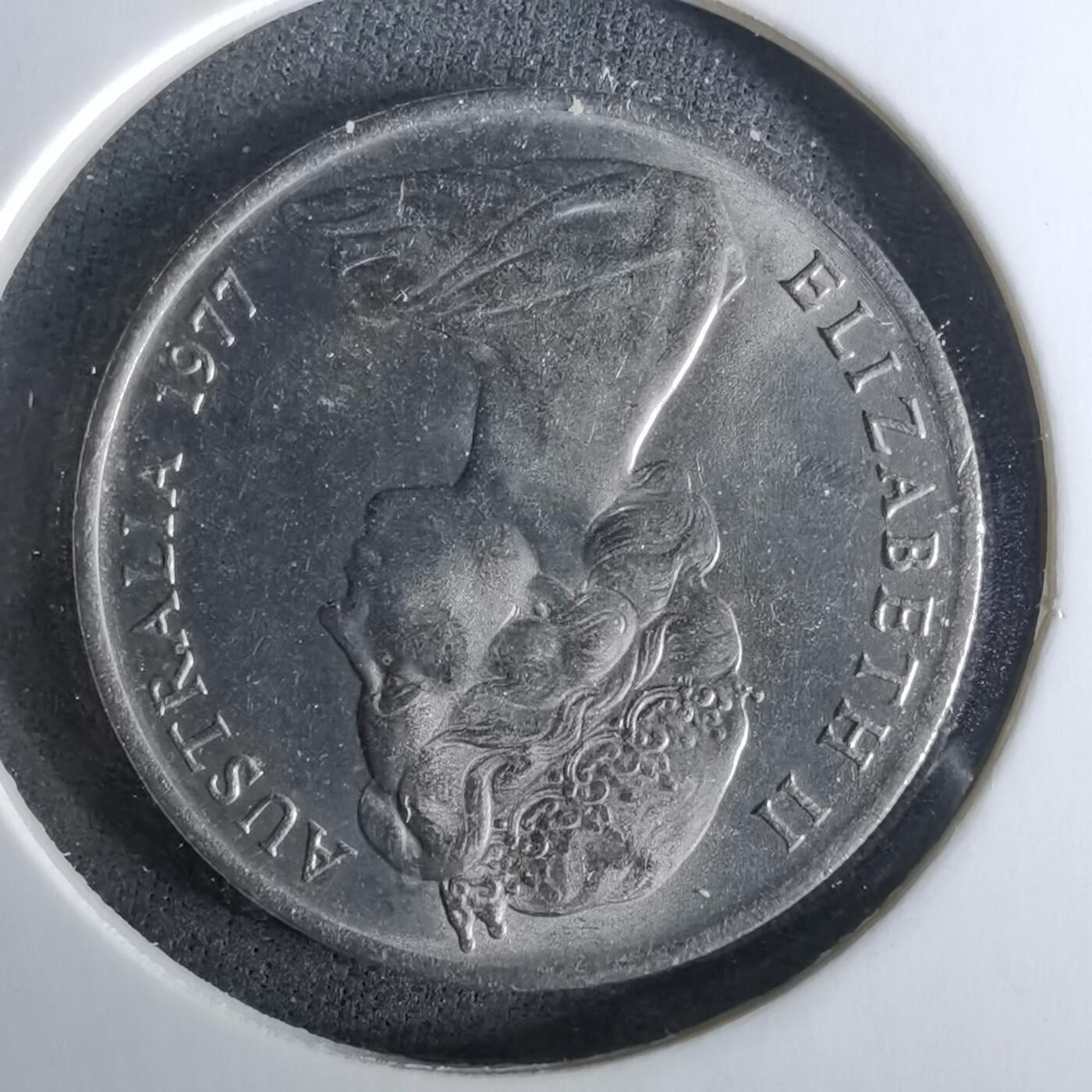 沼泽如烟--第958场