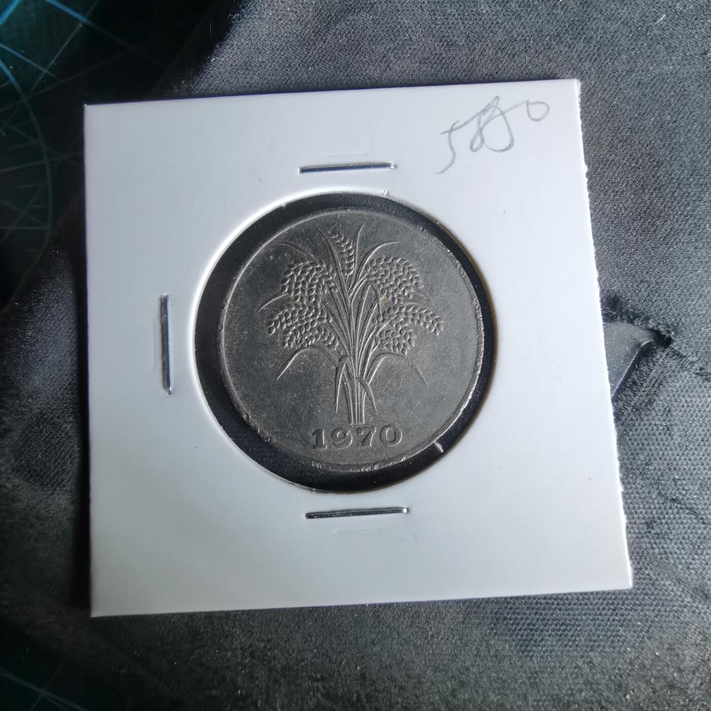 沼泽如烟--第958场