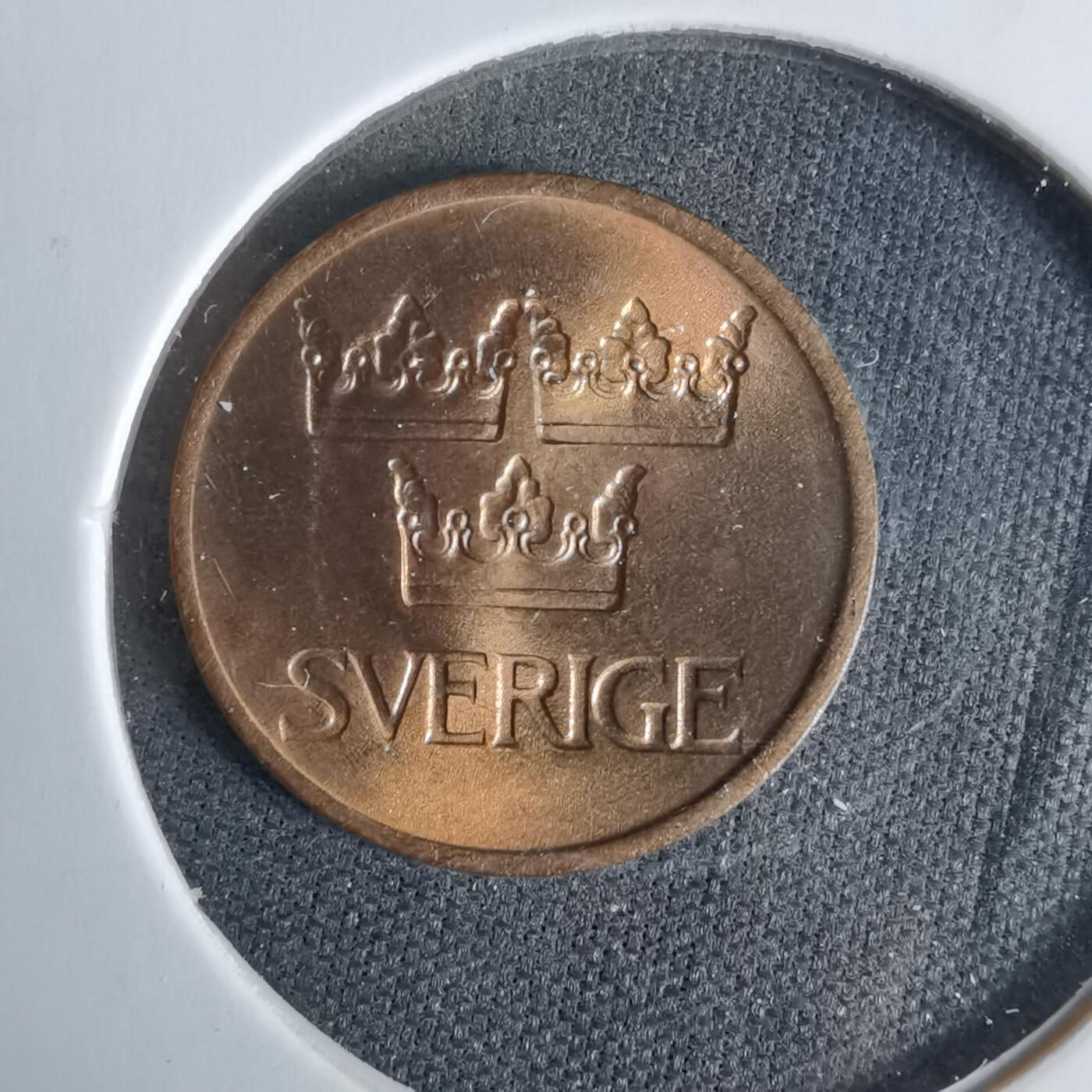 沼泽如烟--第958场