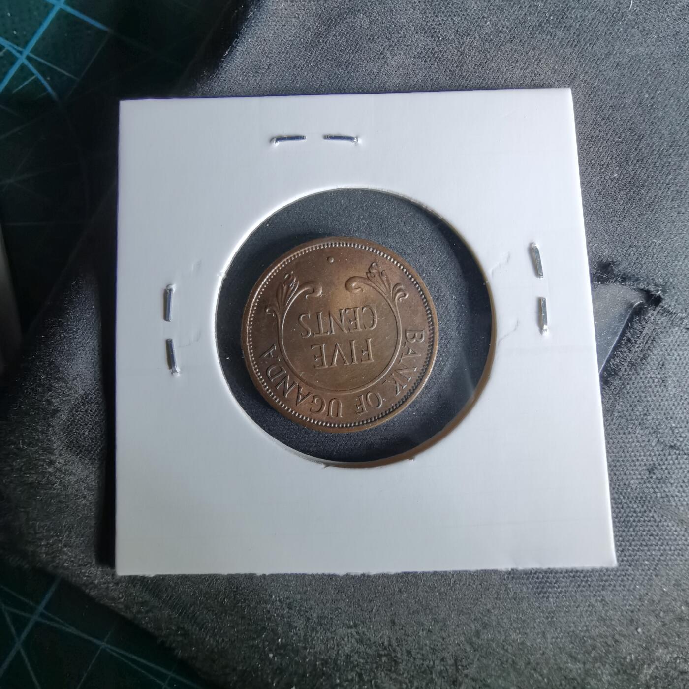 沼泽如烟--第958场