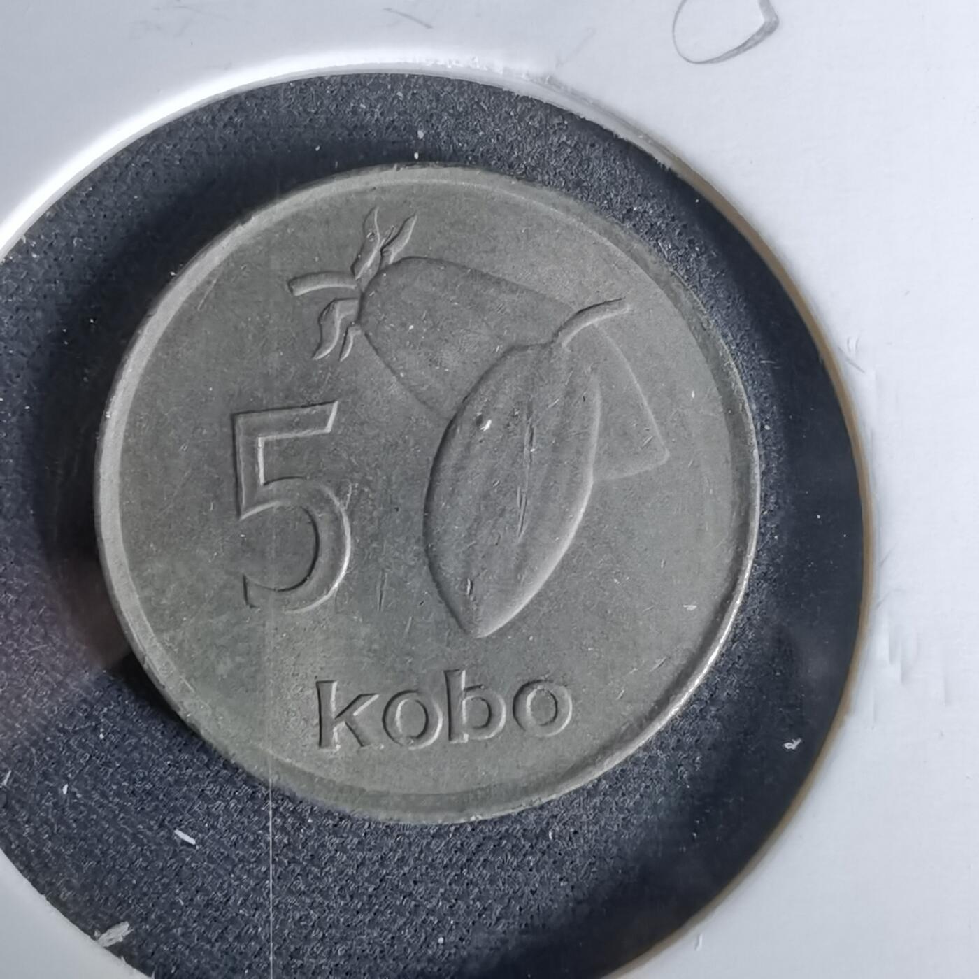 沼泽如烟--第958场