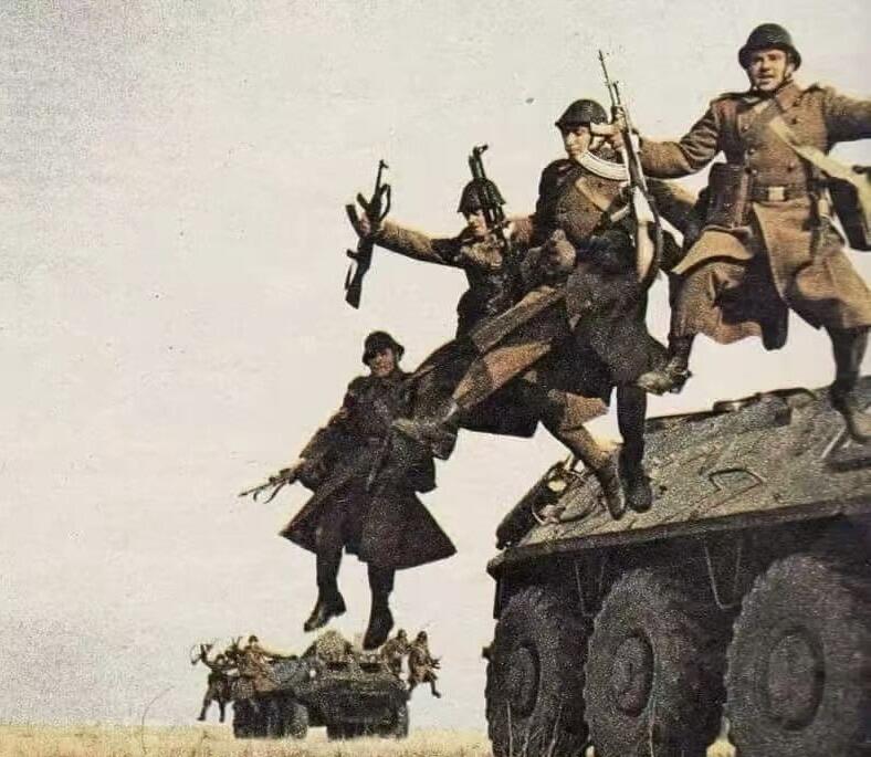 大猫徽章拍卖 第286期