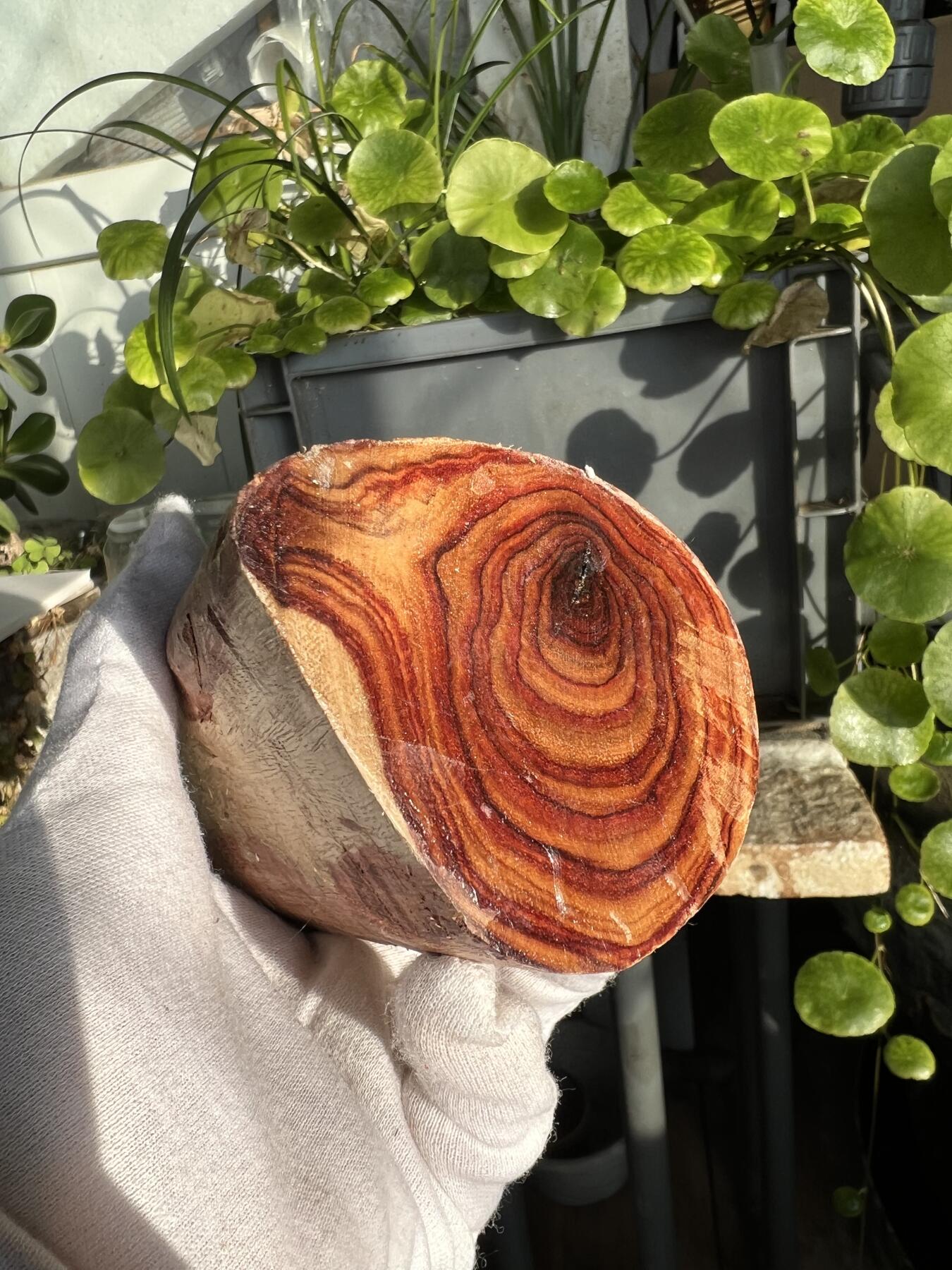 零元拍：  NO.40-1海南黄花梨原料。鬼眼很多哦，尺寸约125/80/60MM