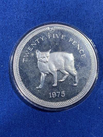 《竞宝斋》第456场 周日，周一，周二   3场连拍 （全场包邮）欢迎送拍 - 英属马恩岛1975年曼岛猫25便士银币 925银 28.28克 带盒证