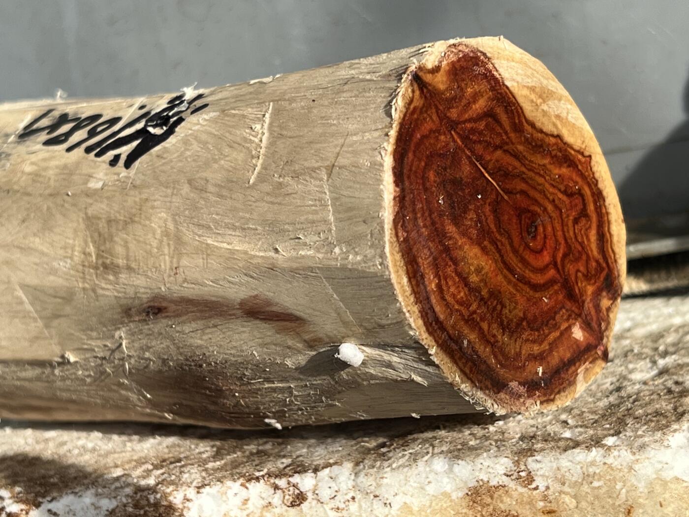 零元拍：  NO.168-1海南黄花梨原料。尺寸约110/60/60MM