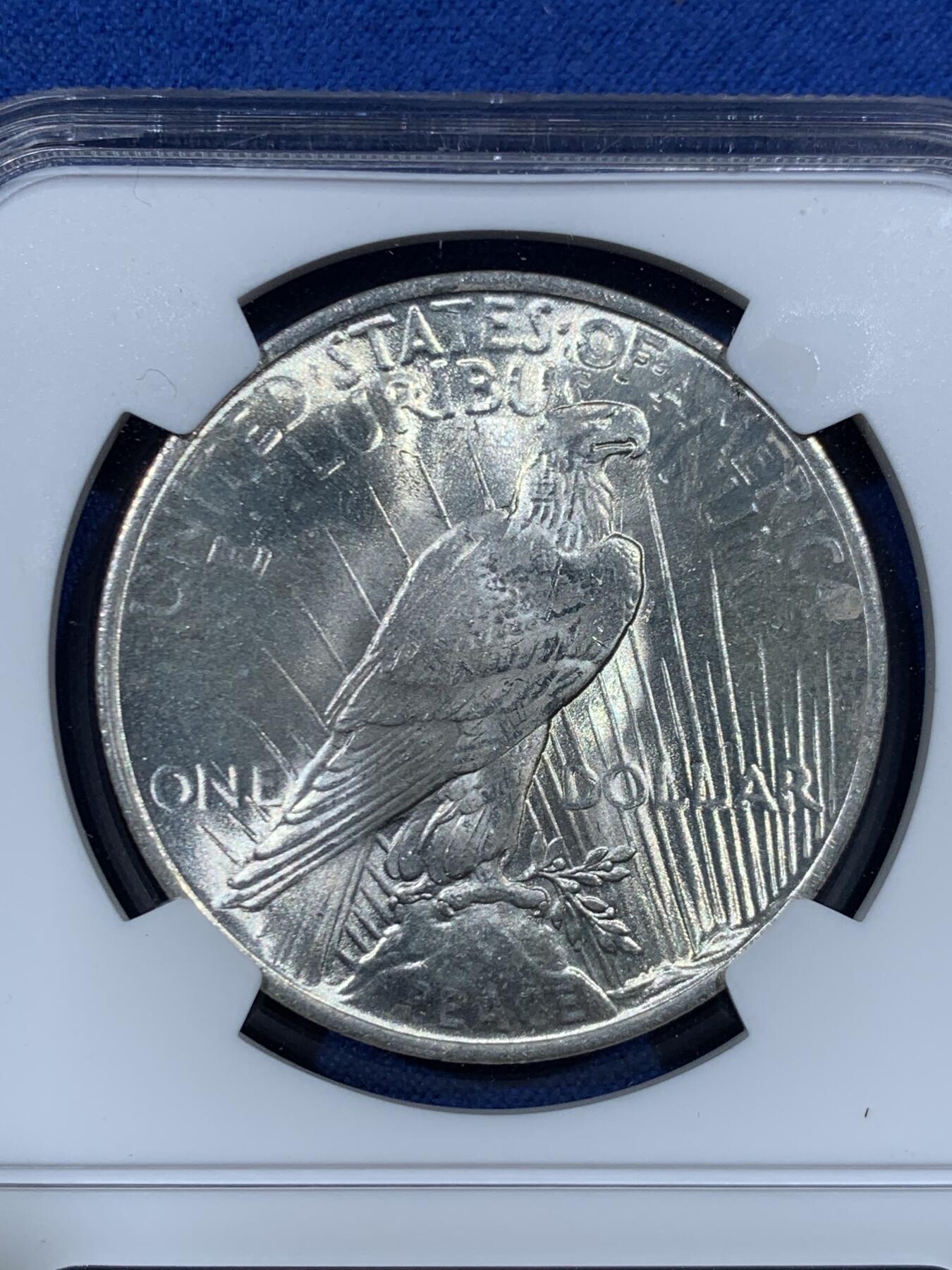 《竞宝斋》第456场 周日，周一，周二   3场连拍 （全场包邮）欢迎送拍 NGC MS63 美国 1923年 和平 1美元 银币 白亮转光