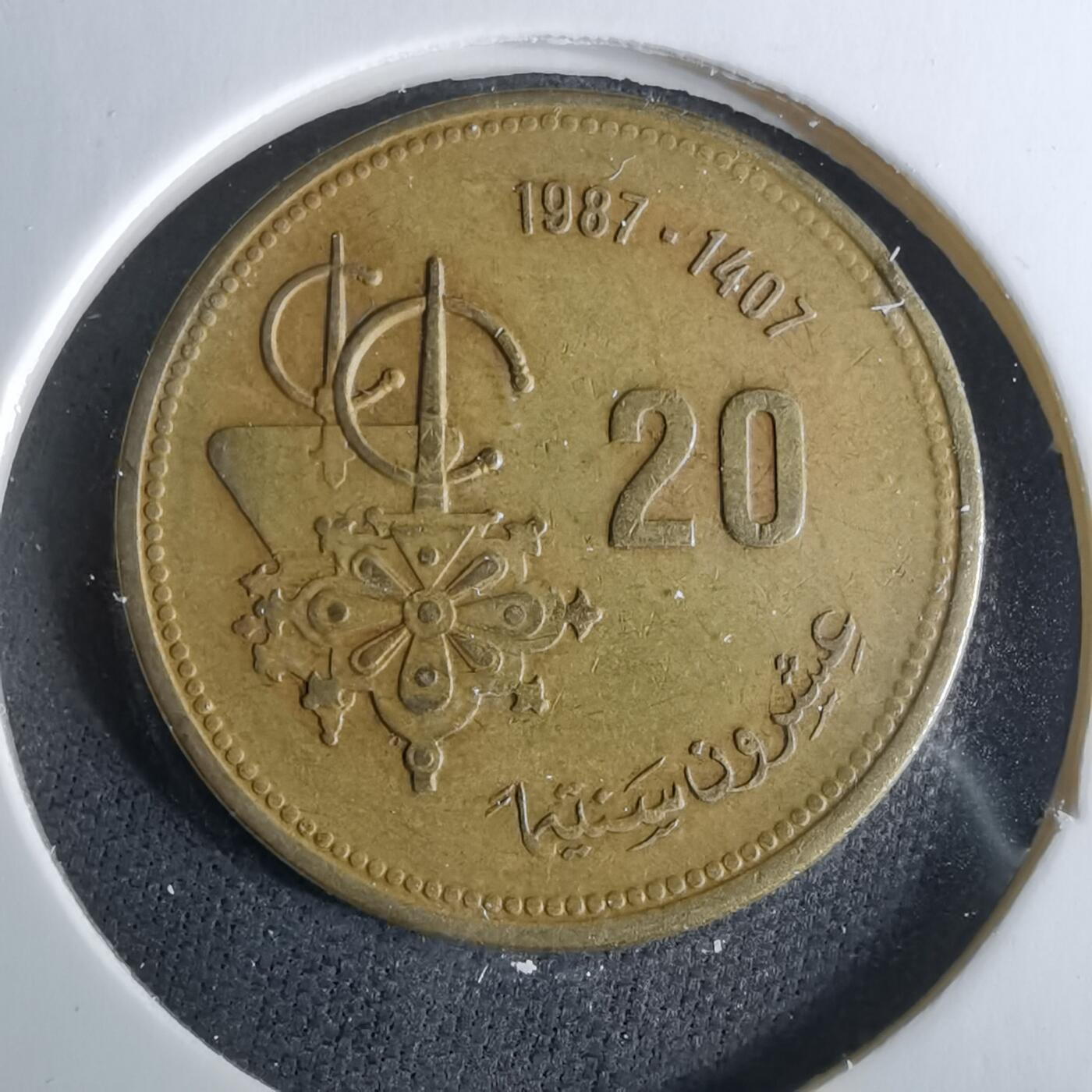 沼泽如烟--第958场