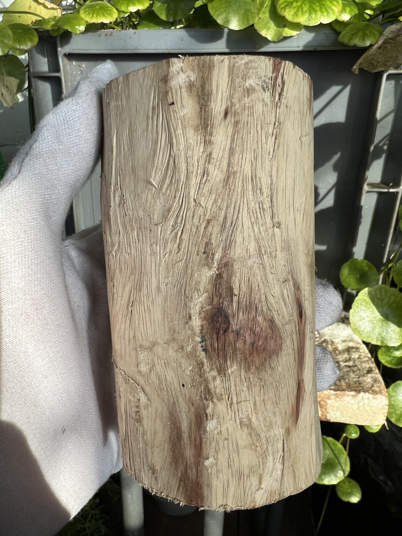 零元拍：  NO.168-1海南黄花梨原料。尺寸约110/60/60MM