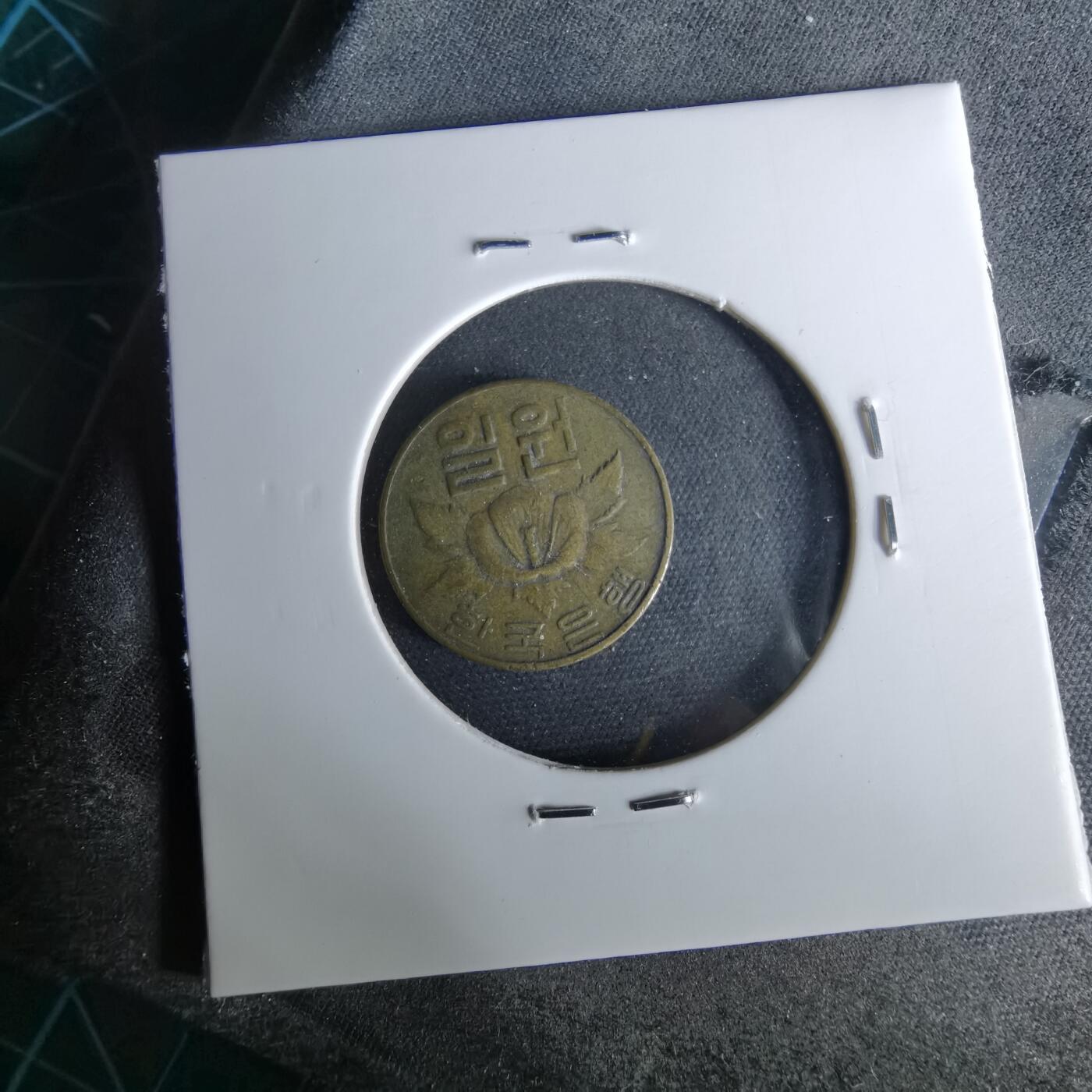 沼泽如烟--第958场