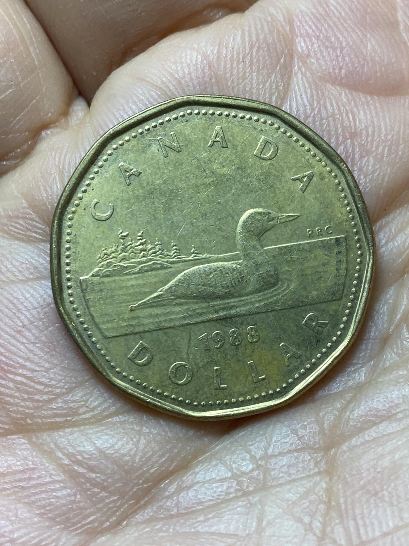 2026年第六场(总第一百七十五场）外国好品散币场(免佣金) 加拿大🇨🇦1988年1元(伊丽莎白二世中年花冠，浅浮雕版，仅发行3年)